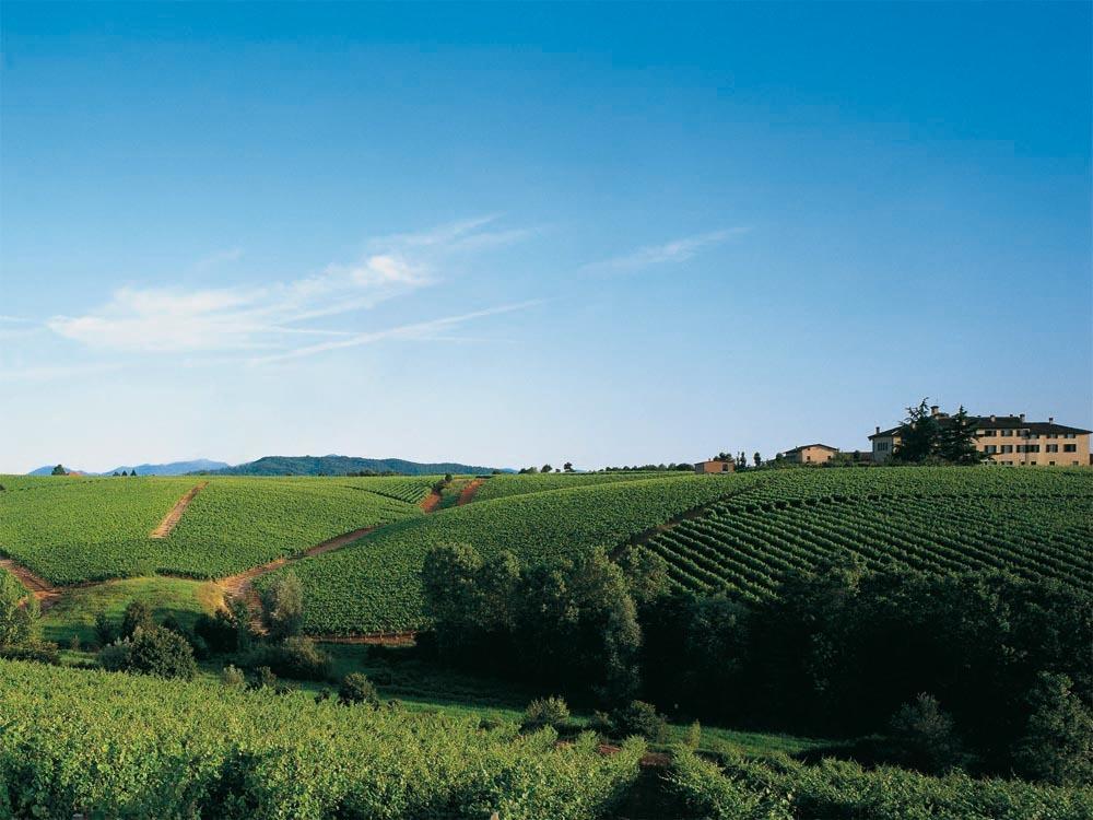 Agriturismo Tenuta La Marchesa 노비리구레 외부 사진
